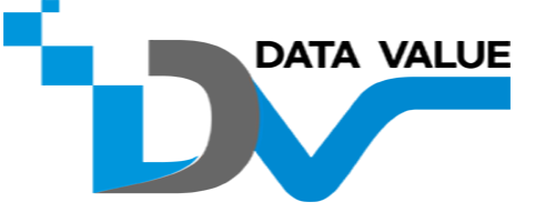 DataValue Logo
